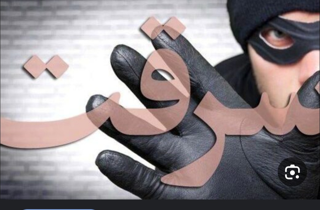 کشف ۱۷مورد سرقت در پی دستگیری ۷نفر سارق در شهرستان انار