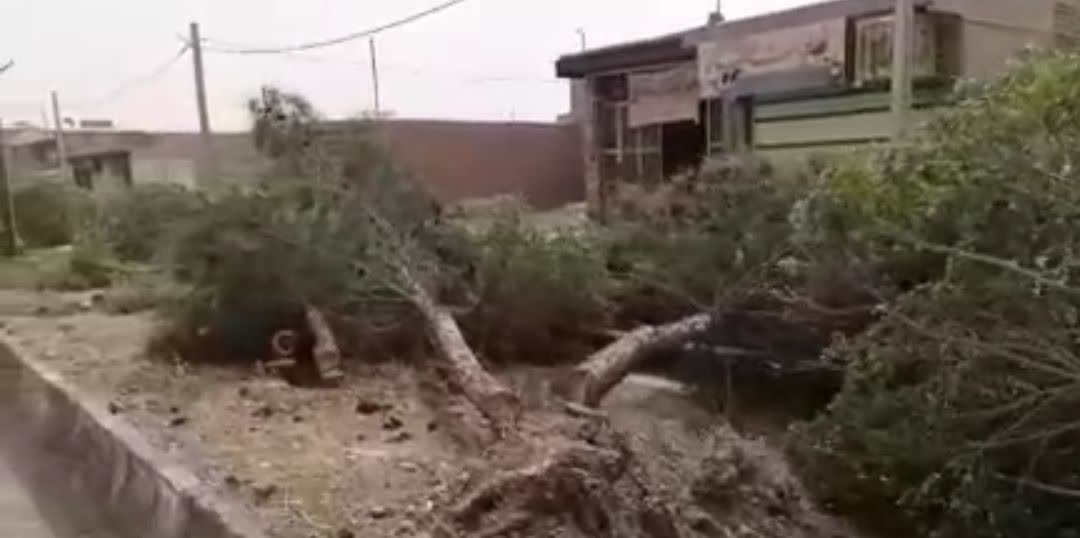 قلع وقمع شبانه درختان سبزبلوارامام رضاعلیه السلام روستای بهشت آبادبه دستوردهیاردرتاریخ۱۴۰۴/۰۲/۱۰
