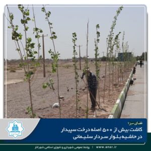 کاشت بیش از ۵۰۰اصله درخت سپیدار در حاشیه بلوار سردار سلیمانی